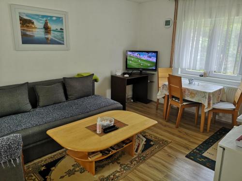 Apartmani Zubor Banja Koviljaca