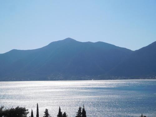 Villa Aronija in أوراهوفاك