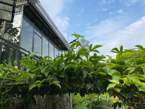 An Nhien Garden