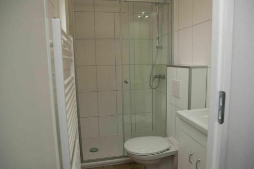 6-person Veluwe Villa - copy - - image 8