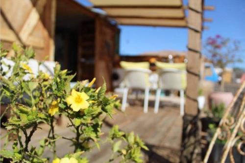  BACK TO NATURE Original Tiny House self sufficient build in 35640 Villaverde