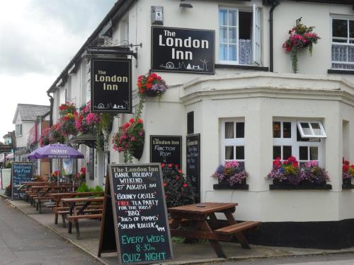 The London Inn - image 4