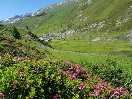 Hotel Gasthof Edelweiß - main image