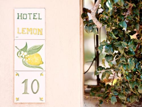 Hotel Lemon - image 6