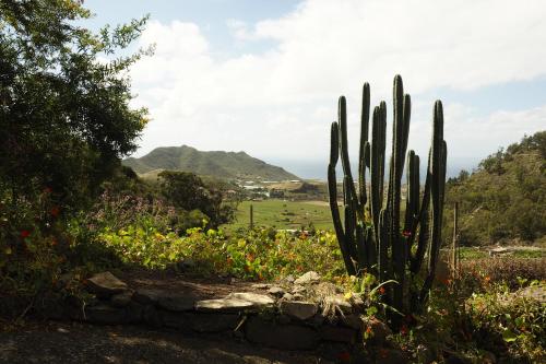  Finca Flor de Ciruelo in El Portezuelo