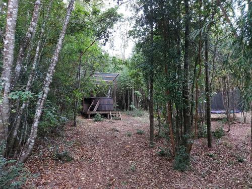 Cabañas Raices del Puma