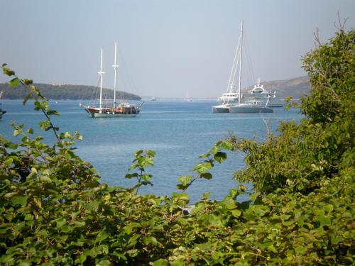 House Ivica - image 12