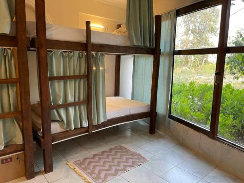 CAMP&HOSTEL Antalya - image 10