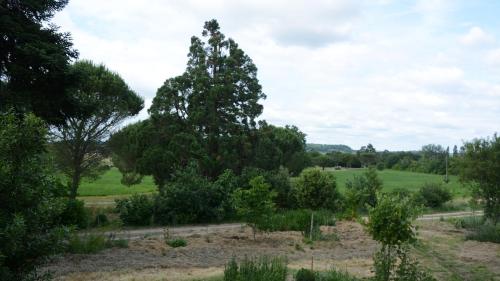 CHANT DU BUC, le Galet