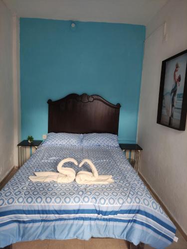 Hotel Porto 51