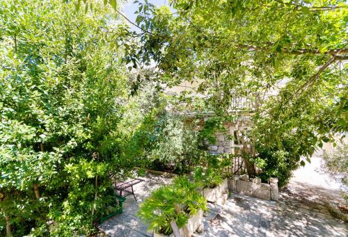 Apartments Massimo - image 11