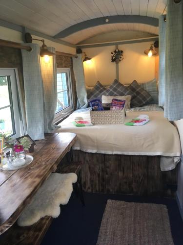 Belan Bluebell Woods Shepherds Hut in Languriga