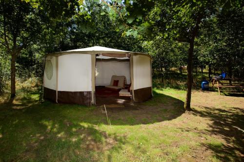 Dorothy Goes Glamping