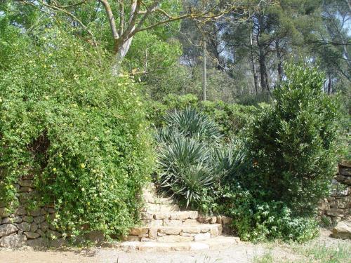 Stone Cottage 2-4 People At Provence Mas 16th Cent Pool Garden Parking - image 10