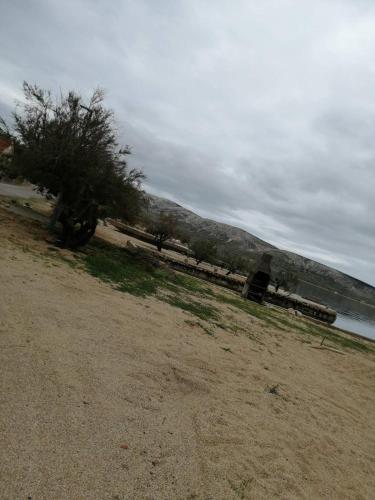 Apartma TaRia