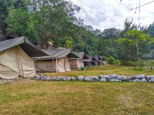 Ganga River Side Camping