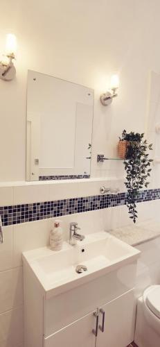 Fernhurst holiday apartments