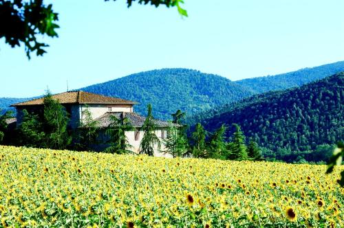 Agriturismo MONTIONI