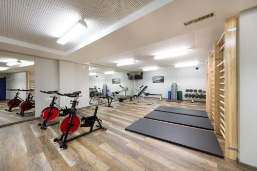 Edelweiss Swiss Quality Hotel - image 7