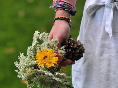 Les Roulottes de Troussures chambre d'hôte Auneuil