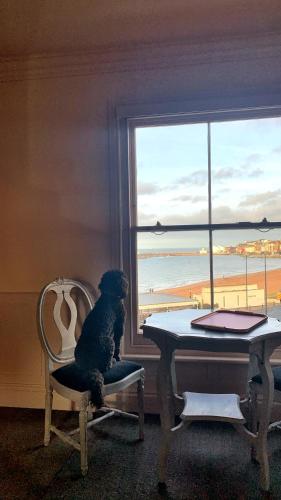 The Pink House - image 2