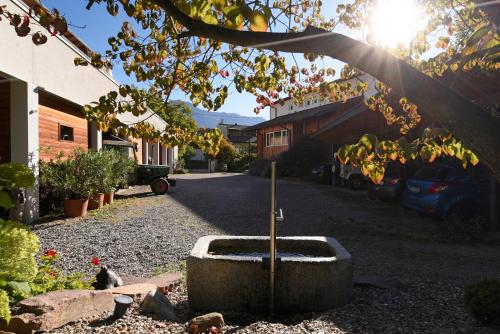  Callhof - Bio Obsthof in Lana