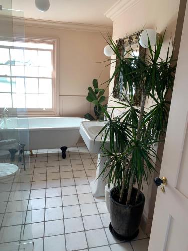 The Pink House - image 3