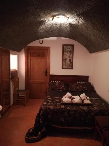 Cueva El Murallon 2