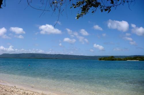 Desarrollo Turistico Punta Brava Tucacas Morrocoy in Tucacas