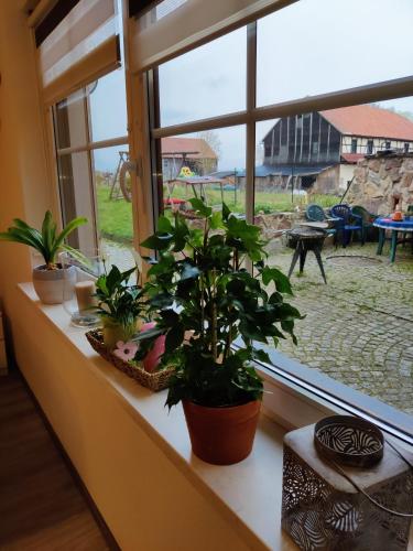 Ferienwohnung Brunow "In der Natur Zuhause"