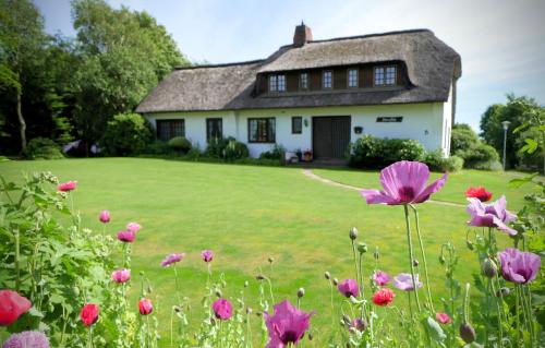 Ferienhaus Ebbe und Flut, Balkon-Whg