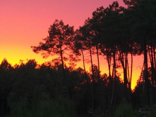 Gîte Herm, 3 pièces, 4 personnes - FR-1-360-670 gîte à louer Herm