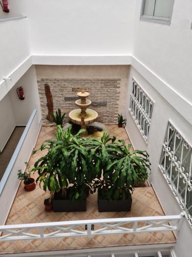 Apartamentos Catalina Park - image 13