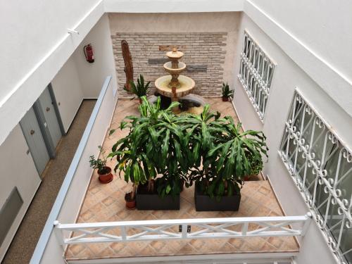 Apartamentos Catalina Park - image 8