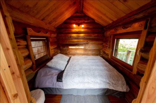 La Cabane des Colibris - main image