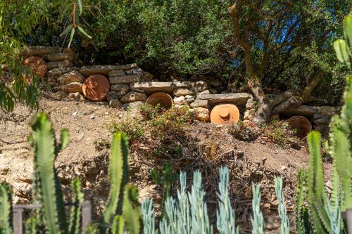 Anassa Cycladic Village