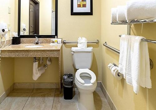 Holiday Inn Express Houston South By IHG - 화장실