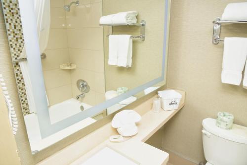 2 Double beds Room - Pet Friendly image 4
