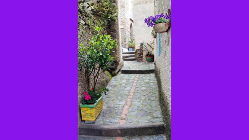 EcoBelmonte Albergo Diffuso