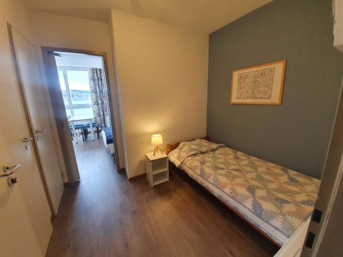1 double bed, 1 twin bed