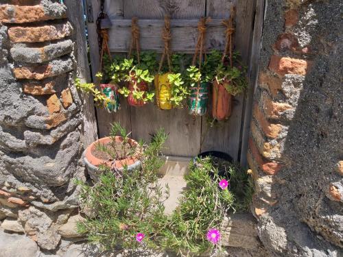 Borgo di Santa Barbara - image 10