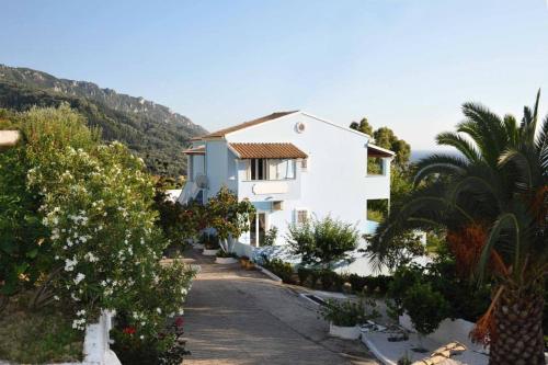 Apartment in Agios Georgios Pagon 