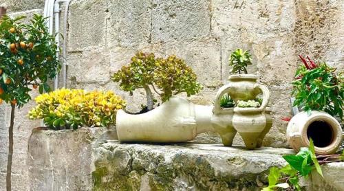 LEMON SUITE Ortigia