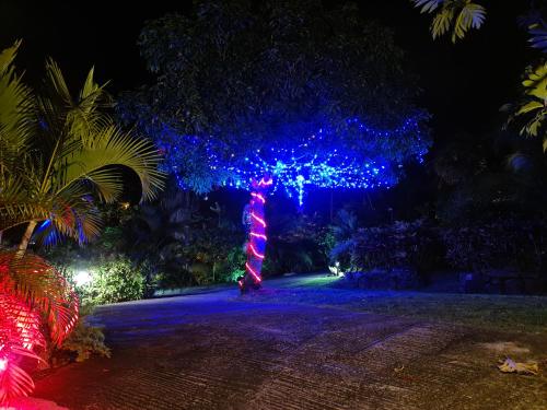 Residence Can' Hibiscus in Sainte-Anne