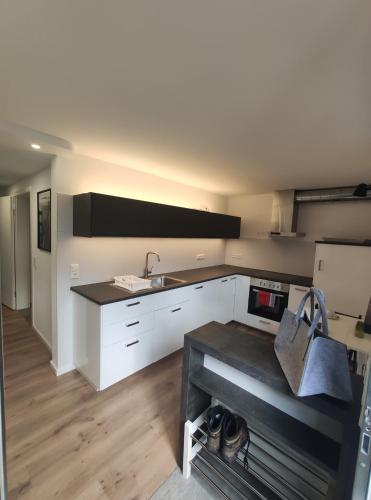 virtuve, Ferienwohnung Gänsweide Neueröffnung (Ferienwohnung Gansweide Neueroffnung) in Denkendorf (Baden-Wurttemberg)
