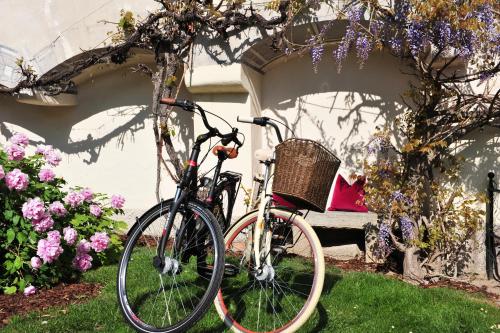 Renaissancehotel Raffelsberger Hof B&B - image 4