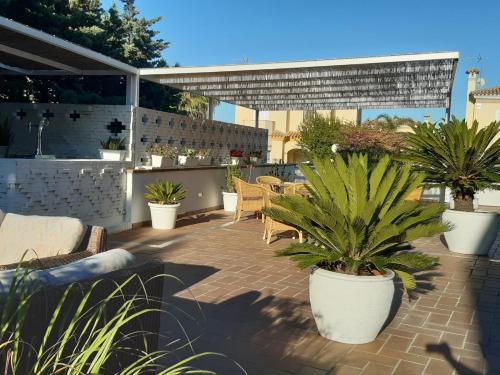 Hotel Marisma Sancti Petri - image 12