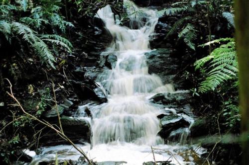 Misty Mountain Reserve