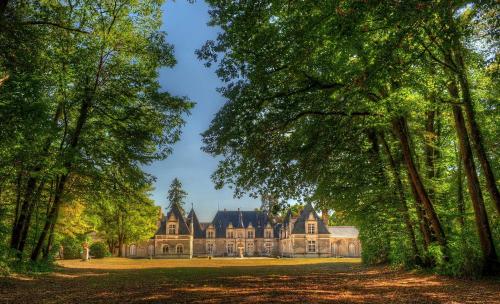 Logis Hôtel du Cygne