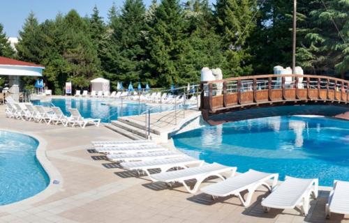 Hotel Magnolia - image 5